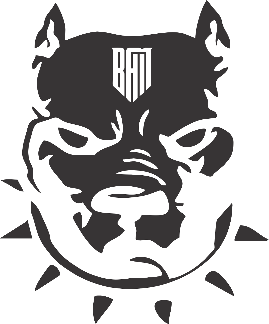 Big Dawg Collection
